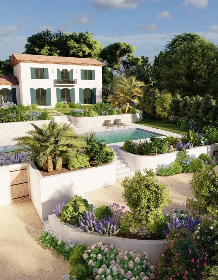 Olivier dans un jardin