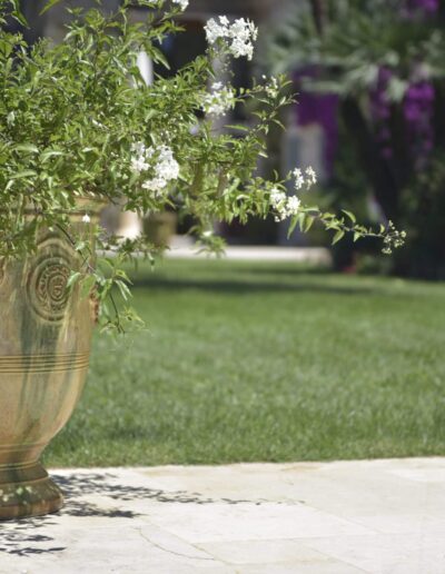 Large Anduze pot with white flowers on a garden terrace