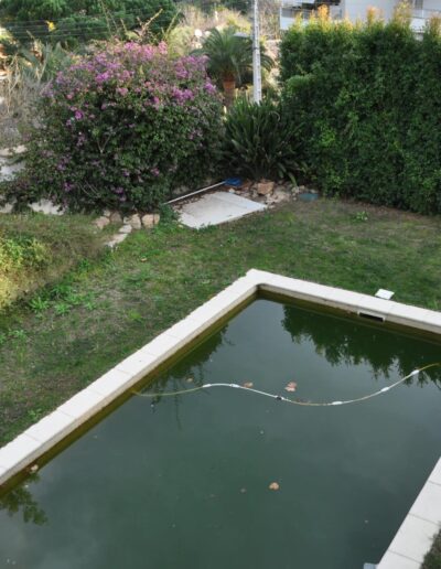 Green-water pool in an unlandscaped garden before renovation work