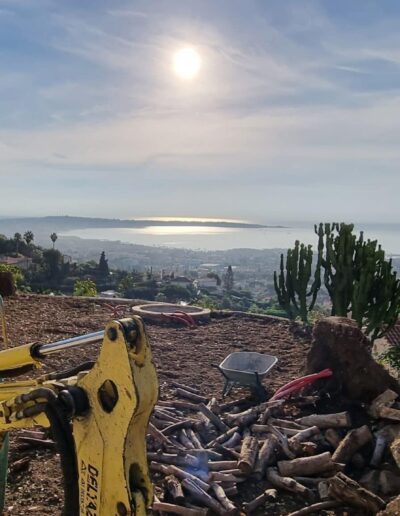 Talus non aménagé avec végétation sauvage sur la partie haute du jardin