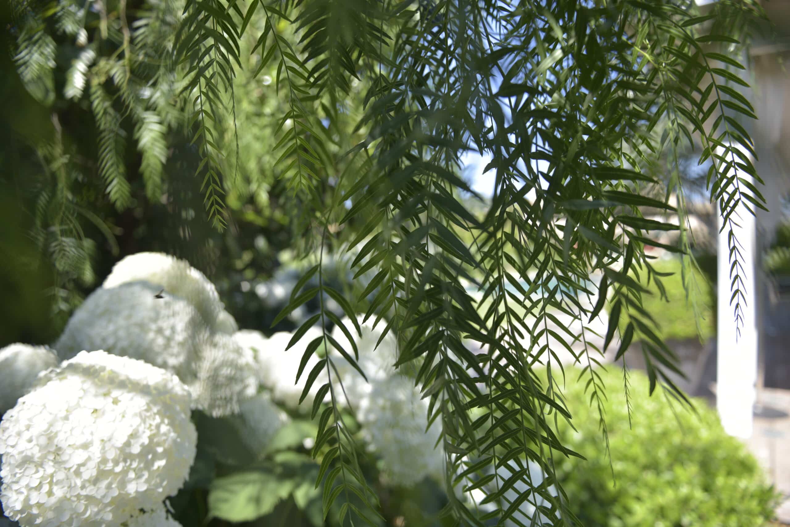 Détails d'un jardin paysager