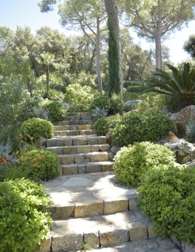 Escalier en pierre entouré de végétation méditerranéenne dans un jardin paysager