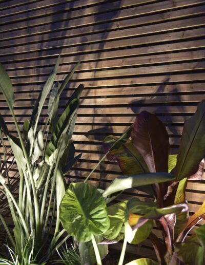 Exotic foliage illuminated at night in front of a wooden slatted wall