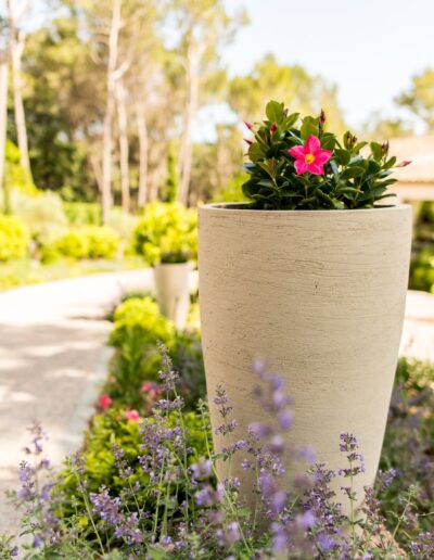 Large flowering planter at the garden entrance after landscaping