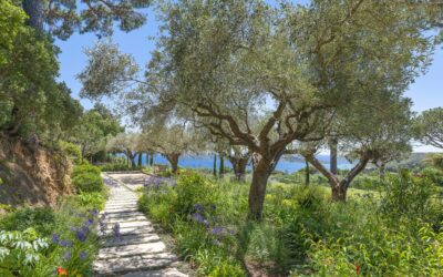 How to protect a luxury garden from wind and sea spray?
