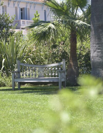Garden bench in the shade of palm trees surrounded by lush greenery