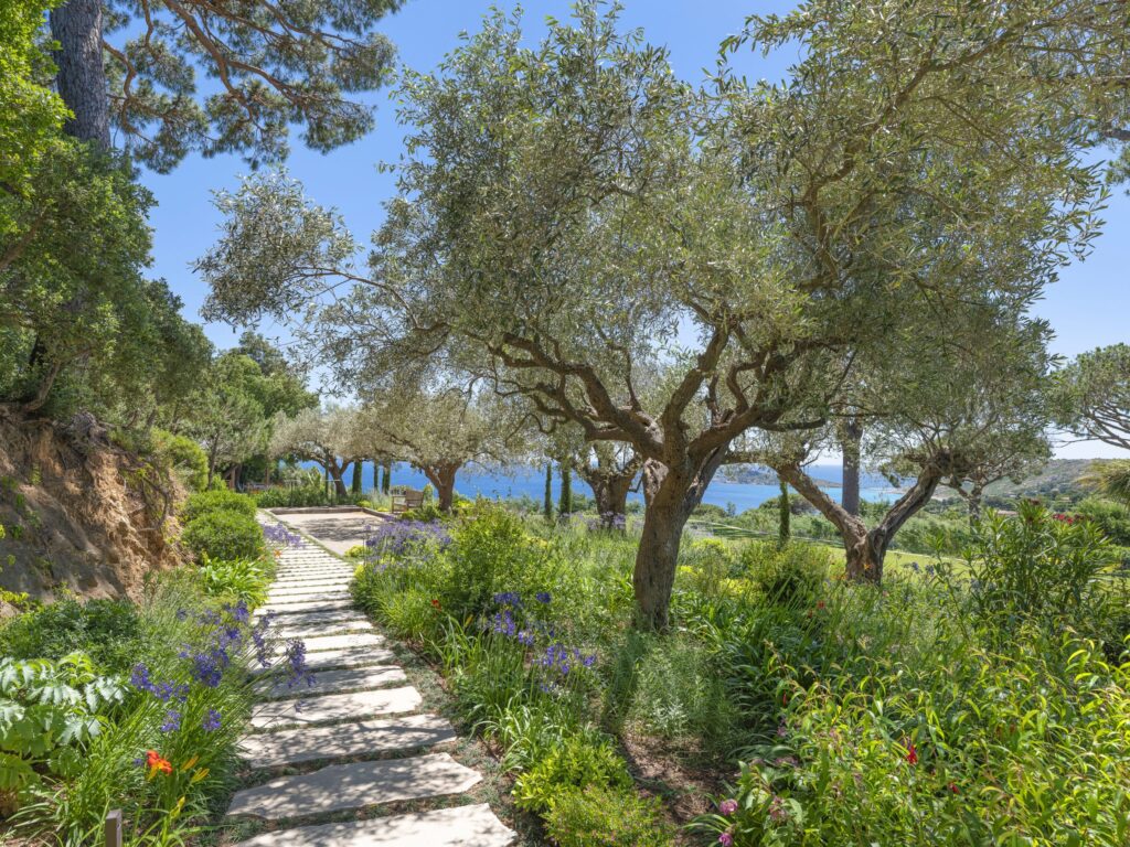 Jardin transformé après l'intervention d'Adonis et la réalisation du projet paysager