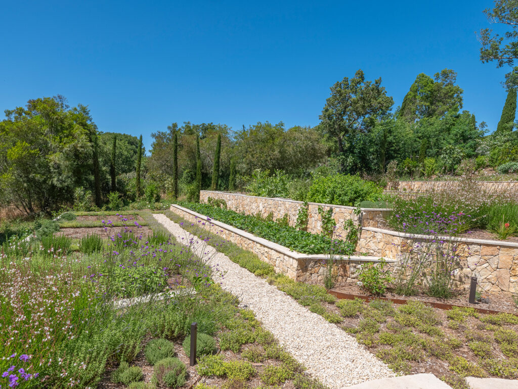 Jardin aromatique dans un projet paysager Adonis
