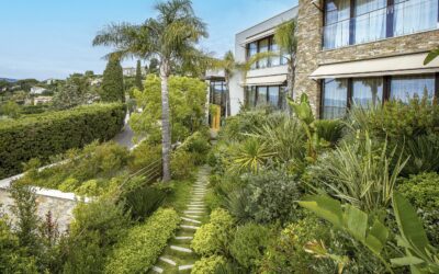 Villa contemporaine : concevoir un jardin à la hauteur de l’architecture