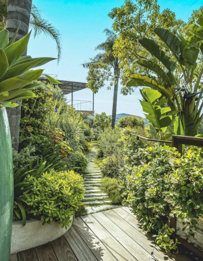 Chemin paysager entouré de végétation luxuriante et plantes tropicales donnant sur la vue de Cannes
