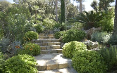 Quelles plantes pour aménager son jardin méditerranéen ?