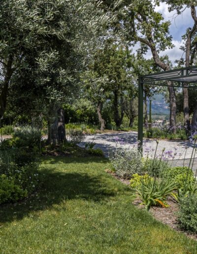 Jardin ombragé avec oliviers, massifs fleuris et structure métallique dans un cadre naturel