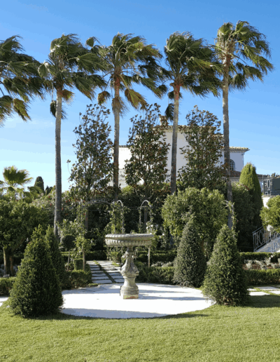 Vue du jardin principal après aménagement, avec pelouse soignée et massifs structurés