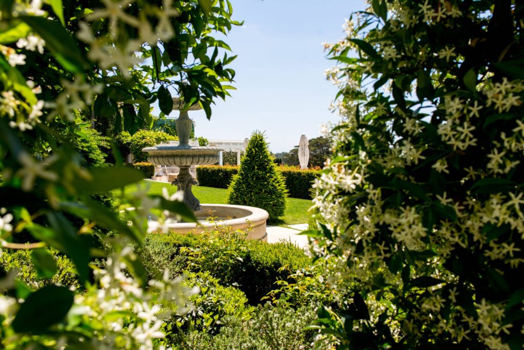 Stone fountain surrounded by jasmine in a landscaped garden