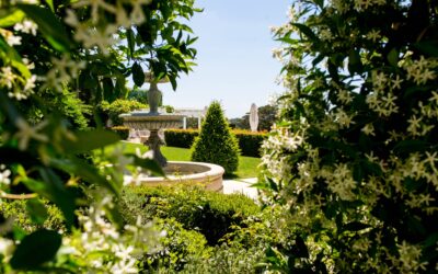 How to install a garden fountain in your outdoor space?