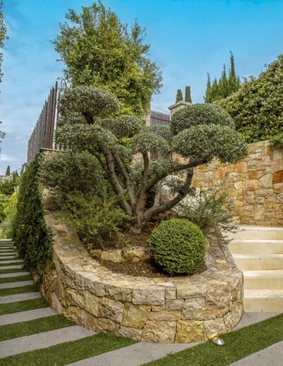 Lateral garden pathway lined with palms and lush shrubs