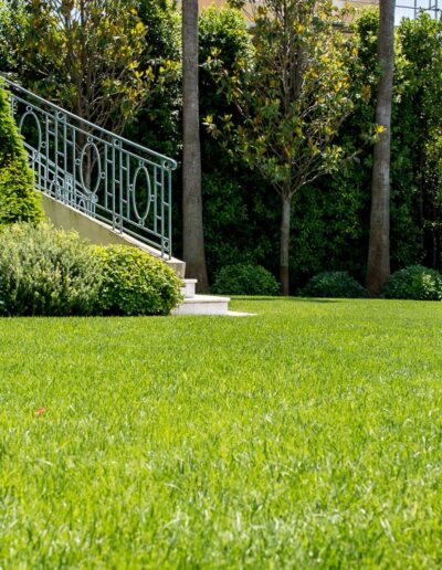 Redesigned lower terrace overlooking a well-maintained green area