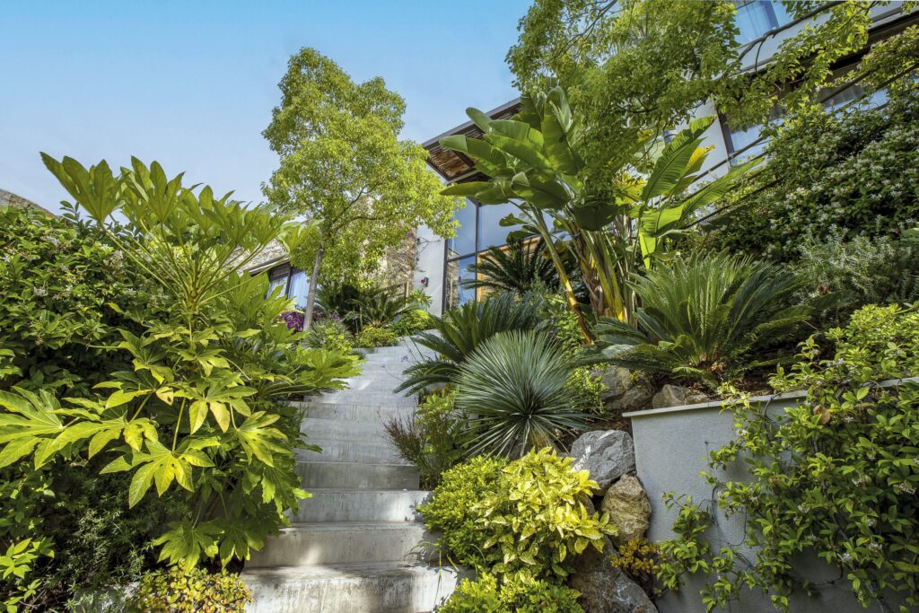 Stairway bordered with lush vegetation, leading up to a hilltop villa