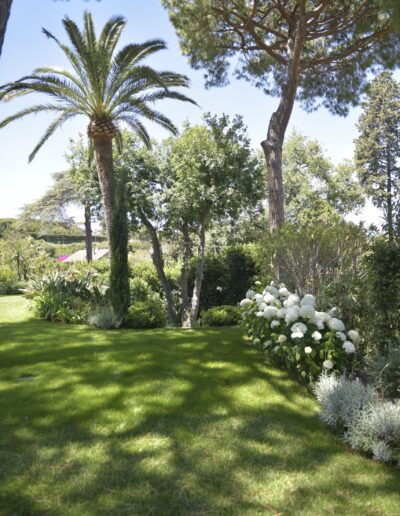 Lush lawn bordered by palm trees and Mediterranean garden plants