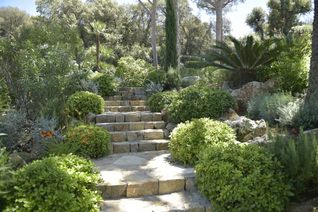 Mediterranean garden with climate-adapted plants and beautiful stone steps