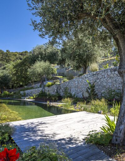 Pathway along a natural pool with Mediterranean vegetation and a dry-stone wall