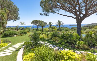Panoramic gardens: enhancing the sea view through landscape design