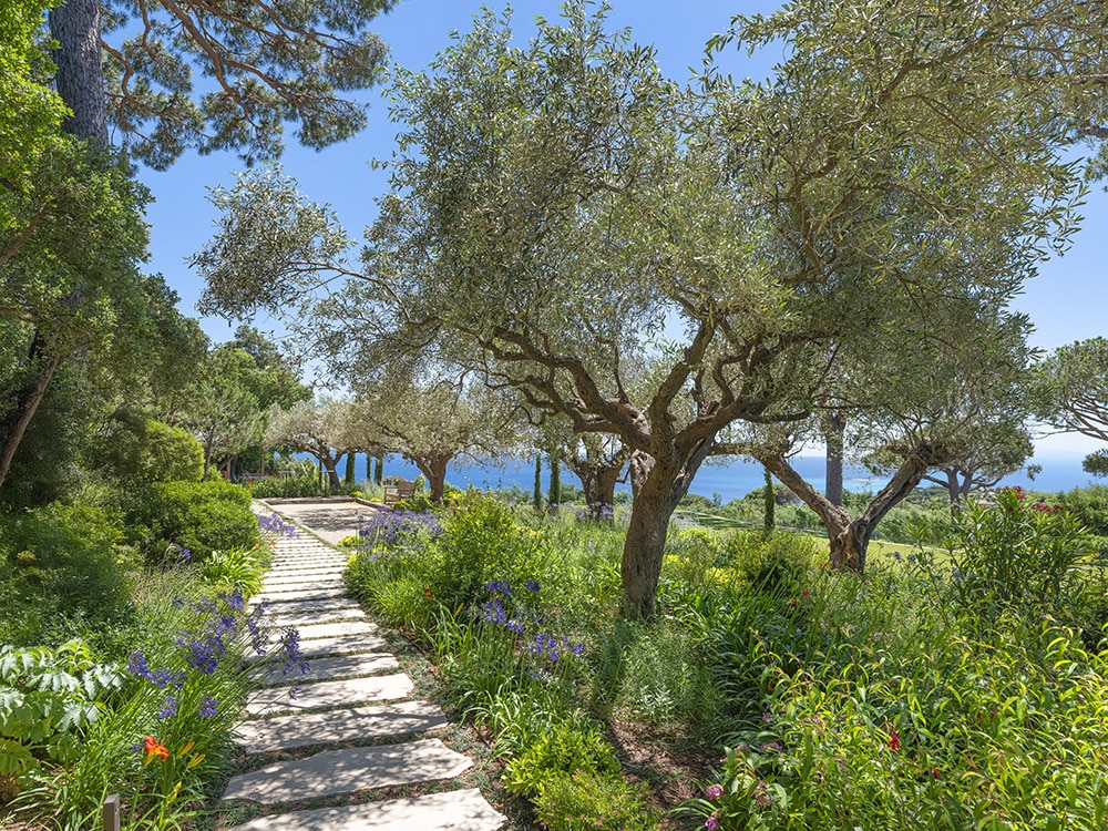 Path creating a perspective toward the horizon