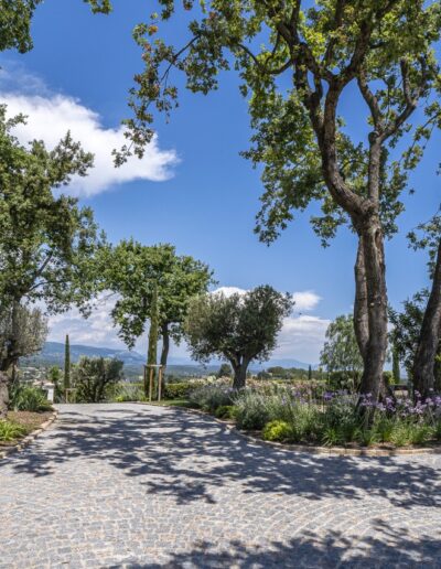 Paved pathway surrounded by trees and Mediterranean plants with hill views