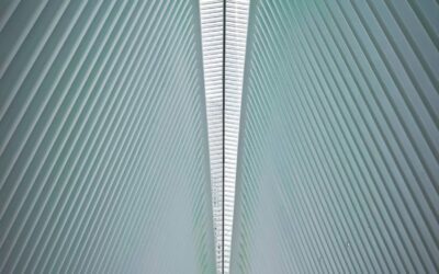 PERSPECTIVE N°49 – Le charme d&rsquo;une cascade