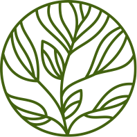 Picto Adonis - lineart feuilles vertes