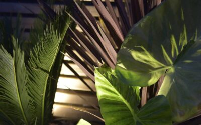 Integrating illuminated artworks into a landscape design