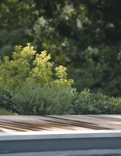 Dense greenery beside the wooden deck of a pool