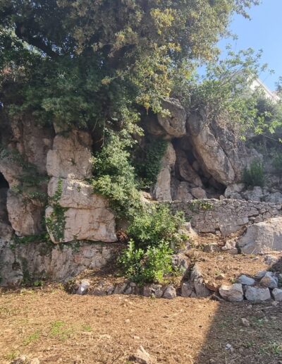Espace en friche avant l’aménagement paysager de la villa Hinn