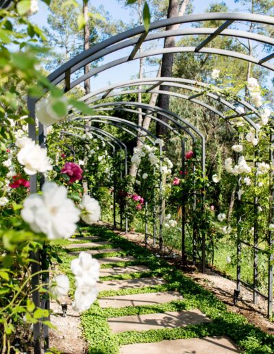 Arbor covered with climbing roses creating a blooming walkway in Mougins