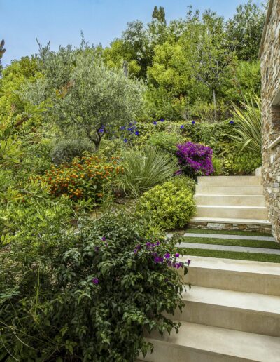 Side pathway between a stone wall and abundant vegetation