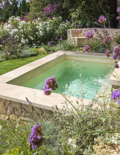 Details of the stone pool surrounded by flowering beds and Mediterranean plants