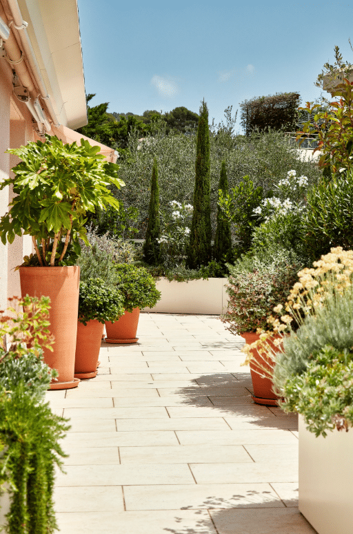 Stone terrace with Mediterranean plants in large terracotta pots