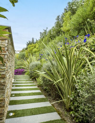 Stone staircase with wall and topiary-shaped olive tree