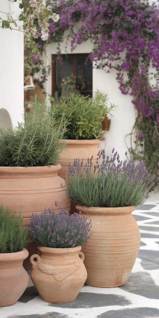 Terracotta pots with herbs and lavender