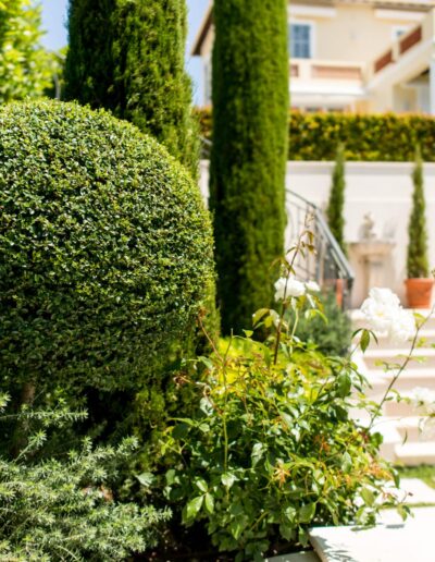 Sculpted topiary and stone staircase in a Florentine-inspired garden