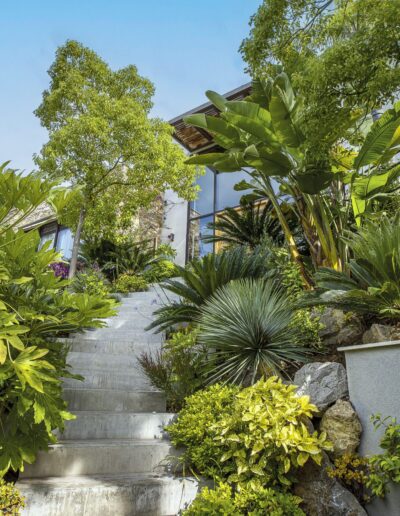 Outdoor staircase surrounded by tropical planting leading to a modern house.