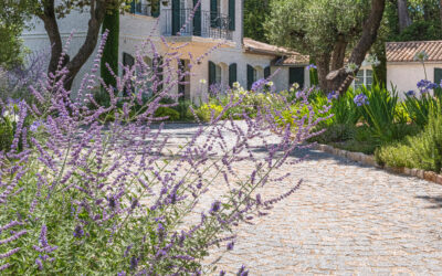 Landscape project: the 3 key steps to a successful outdoor design