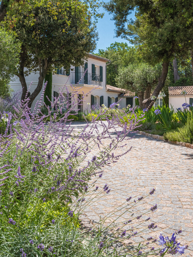 Pathway leading to a Provençal villa, lined with plants