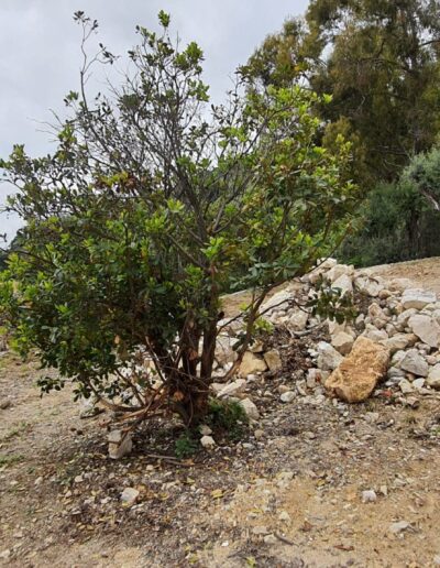 Homme en visite de chantier sur terrain en cours d’aménagement, avec vue dégagée sur la mer