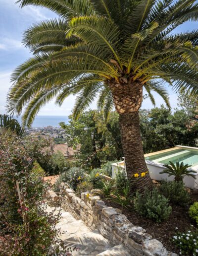 Vue du jardin avec palmier, bassin et panorama sur la mer