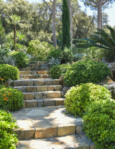 Wide stone staircase surrounded by dense Mediterranean garden plants